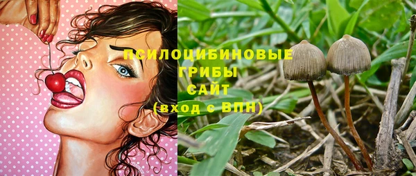 круглые Арсеньев