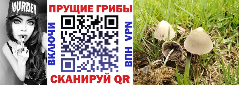 Галлюциногенные грибы мухоморы  Елабуга 