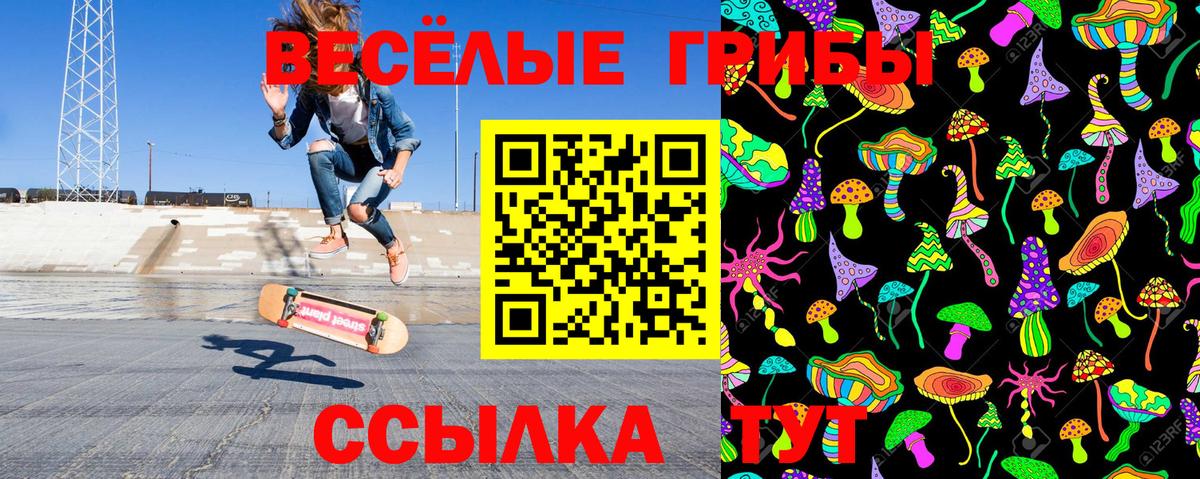 Галлюциногенные грибы прущие грибы  Галлюциногенные грибы MAGIC MUSHROOMS  Вход с VPN  где найти   Елабуга 