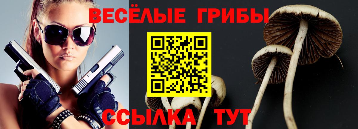 Псилоцибиновые грибы Cubensis Елабуга